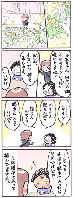 「ふきのとう」
#漫画 #四コマ #エッセイ #manga #ふきのとう
#2017年3月 #芽吹き 