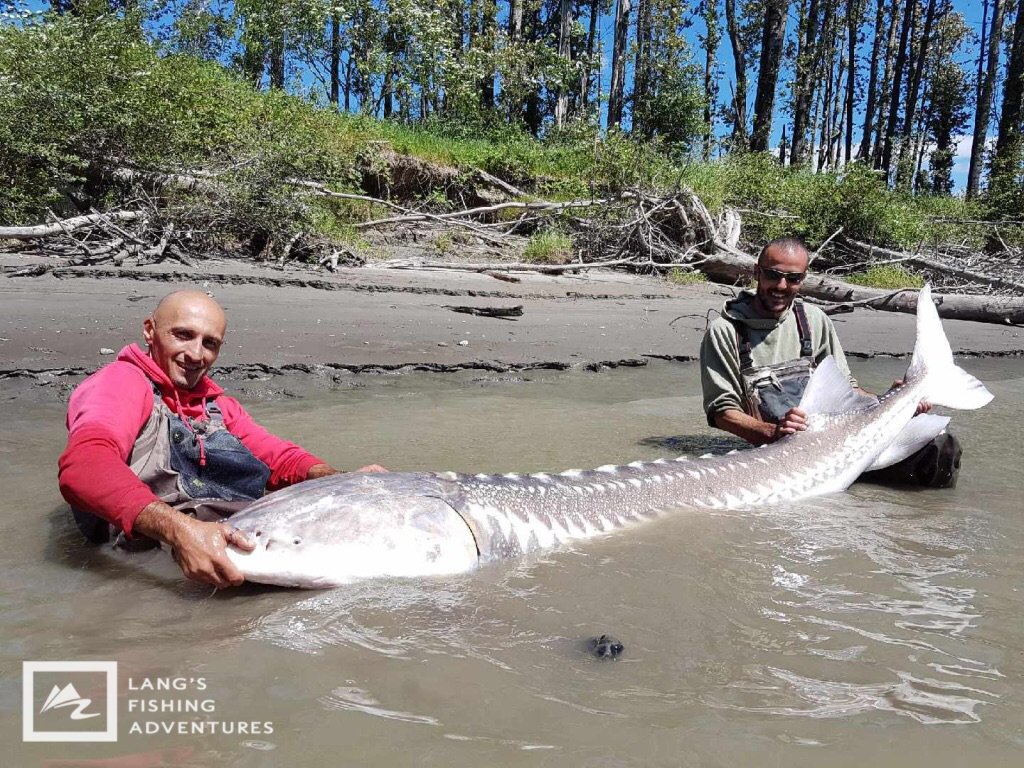 Lang's Fishing Adv. tweet media