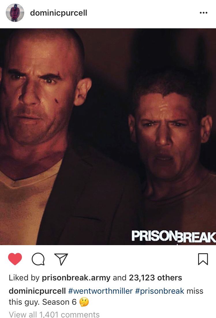 Prison_5's tweet photo. دومينيك بورسيل عبر حسابه  
اشتقت لهذا الرجل , الموسم السادس 😻💜.
#PrisonBreak https://t.co/ThKxEzOiAP