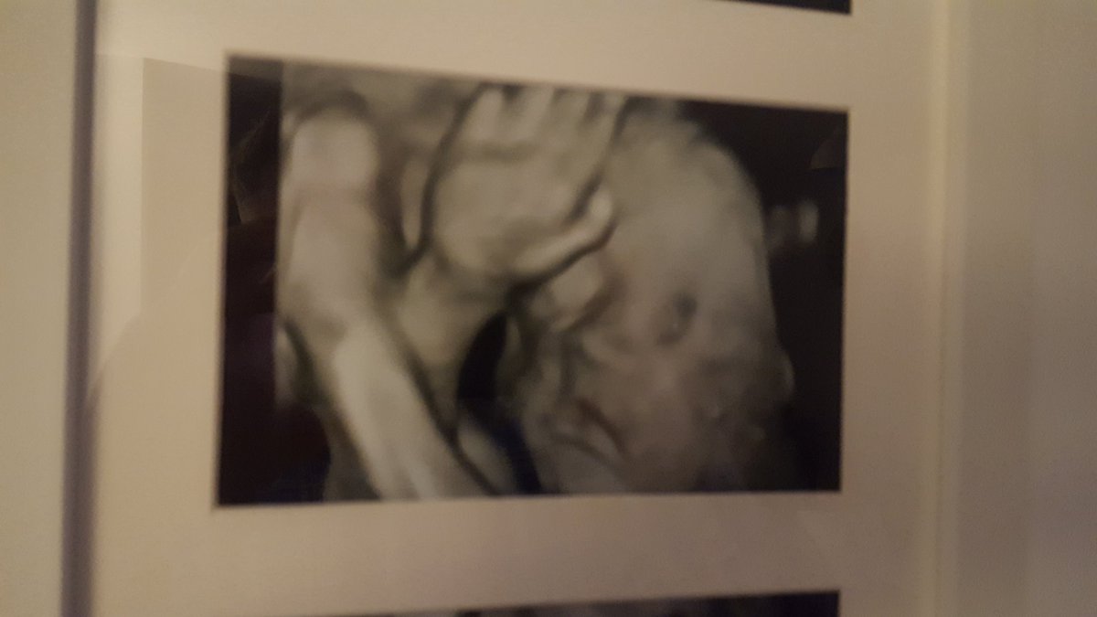 Ashaw91's tweet photo. Newest members to the West Ham family! You can see on the left he was doing the 'irons' before he was even born 😂 @davidgold @Noble16Mark https://t.co/n4GYhAT7kO
