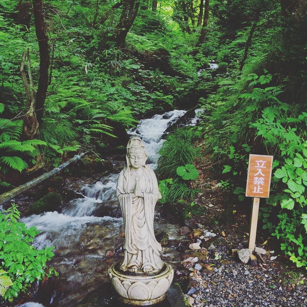 loco_locola's tweet photo. #mauntainstream #reflesing #freshair #green #cool #nature #pray #wellbeing
#名水 #涼 #冷 #恵 #自然 #美 https://t.co/r8FEH3VRMJ
