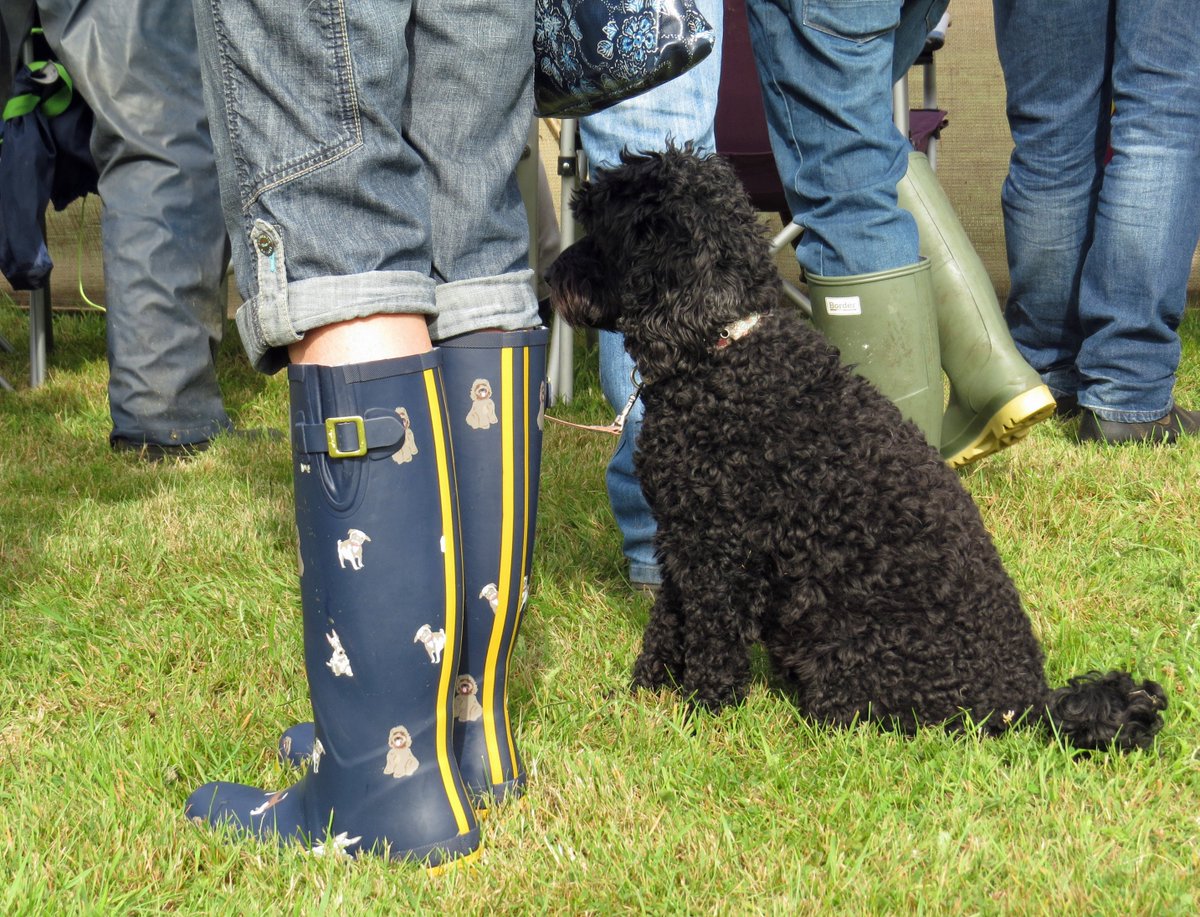 SuffolkonShow's tweet photo. Matching dog and wellies. Tweet us your pics! #dogsatsuffolkonshow @TheISDS #englishnationalshaughleypark @HeartOfSuffolk @VisitEastAnglia https://t.co/MZnqyhM3st