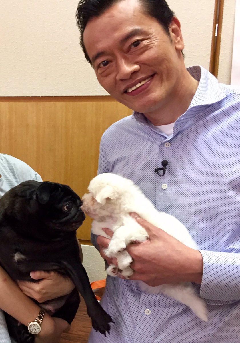 遠藤憲一公式 Twitterren 遠藤です そうです 私がわんこおじさんです 志村どうぶつ園 今夜7時 遠藤憲一公式 Twitterren 遠藤です そうです 私がわんこおじさんです 志村どうぶつ園 今夜7時