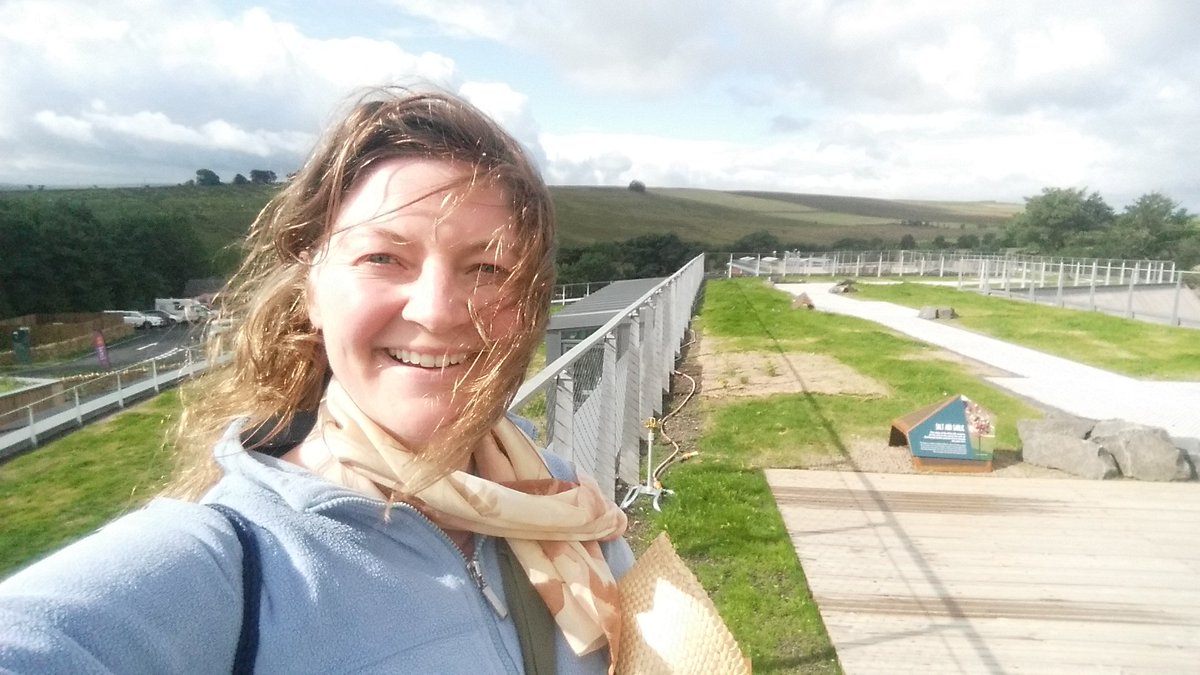 HadrianWallPath's tweet image. Dear @NlandNP , A hearty hello from your 1st official visitor atop #TheSill roof. It's fab! Yours excitedly, Gillian