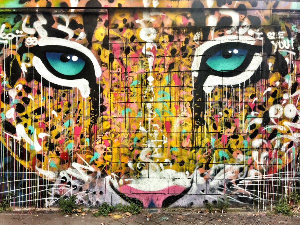 whatzefox's tweet photo. Urban catz 🐅
#StreetArt https://t.co/XJZgOtW4PZ