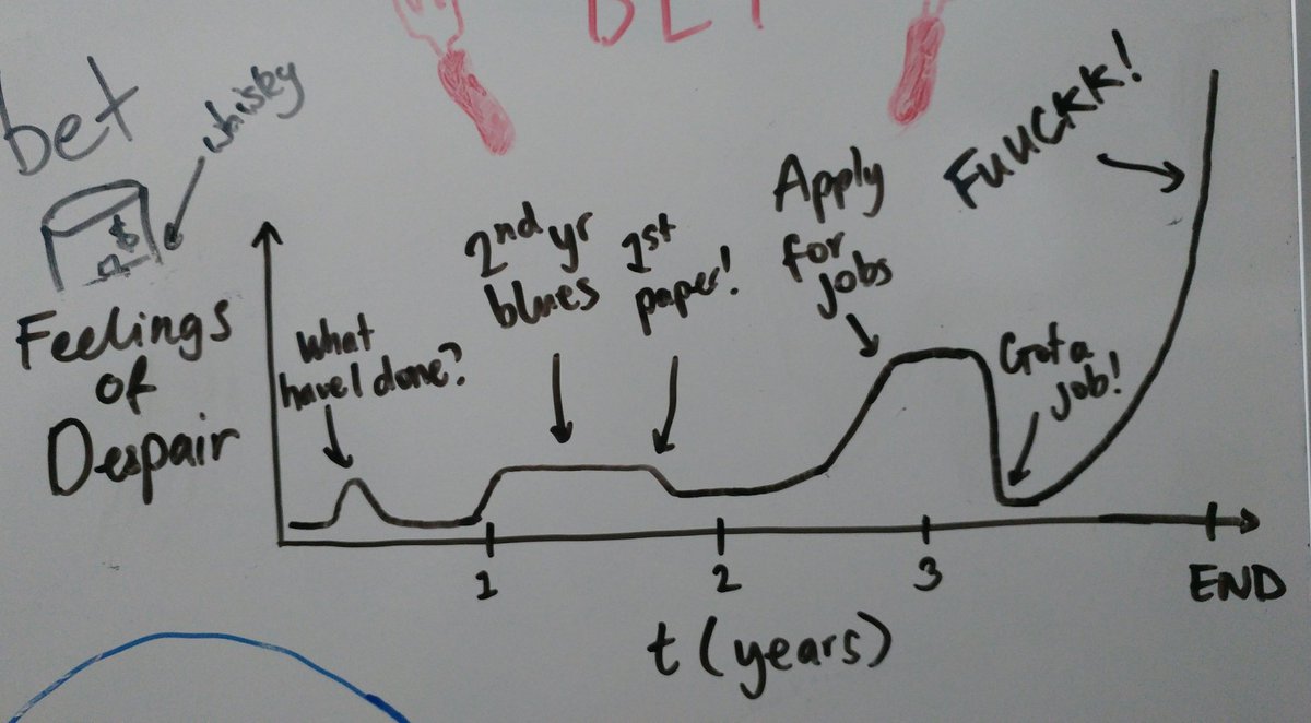 re_mcelroy's tweet photo. Productive coffee break in #335A with @AdamSchaefer4:

Fig. 1. Feelings of despair vs. time as a PhD student. https://t.co/bTHukbNp5r