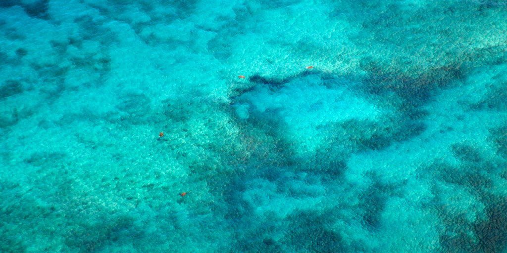 AuralityLab's tweet photo. #AURALITY featured locations include #Brisbane #Noosa #TinCanBay #Maryborough #Townsville #Cairns #qmf17 https://t.co/wMQzETkDyD https://t.co/ztOc5Uwghj