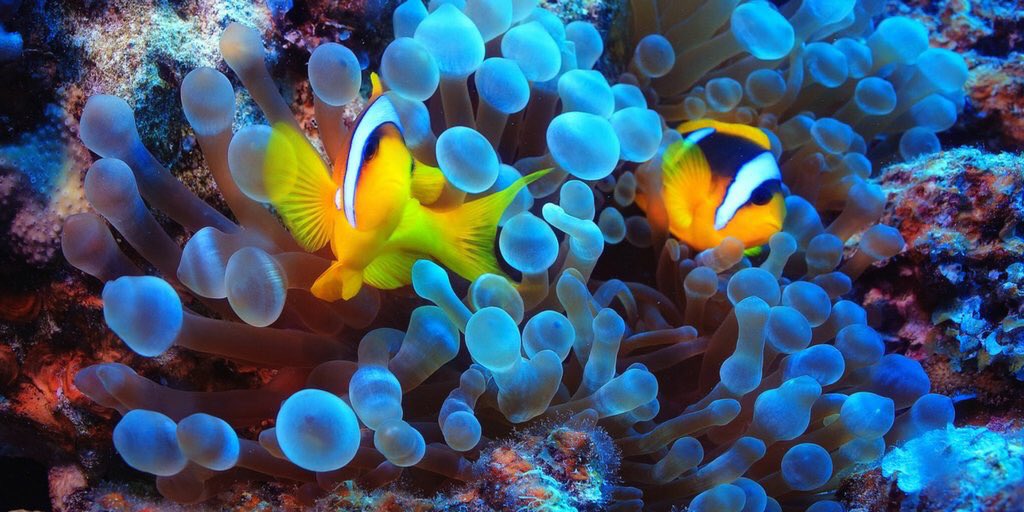AuralityLab's tweet photo. #AURALITY featured locations include #Brisbane #Noosa #TinCanBay #Maryborough #Townsville #Cairns #qmf17 https://t.co/wMQzETkDyD https://t.co/ztOc5Uwghj