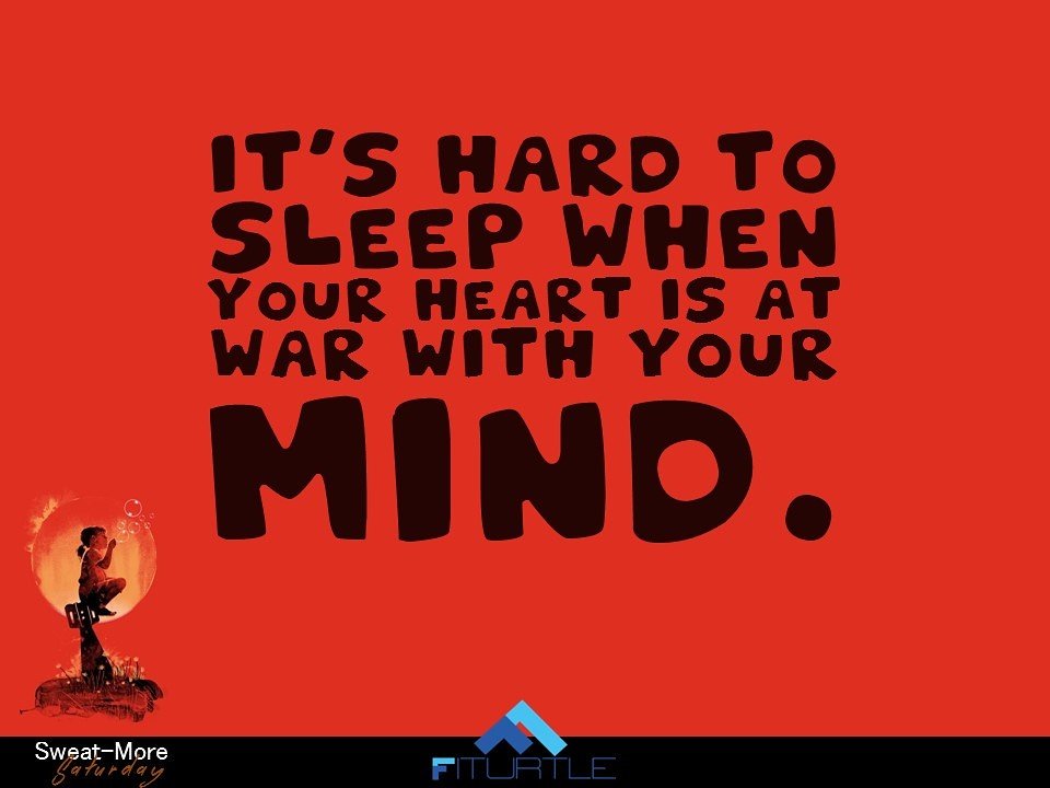 FiTurtle tweet media