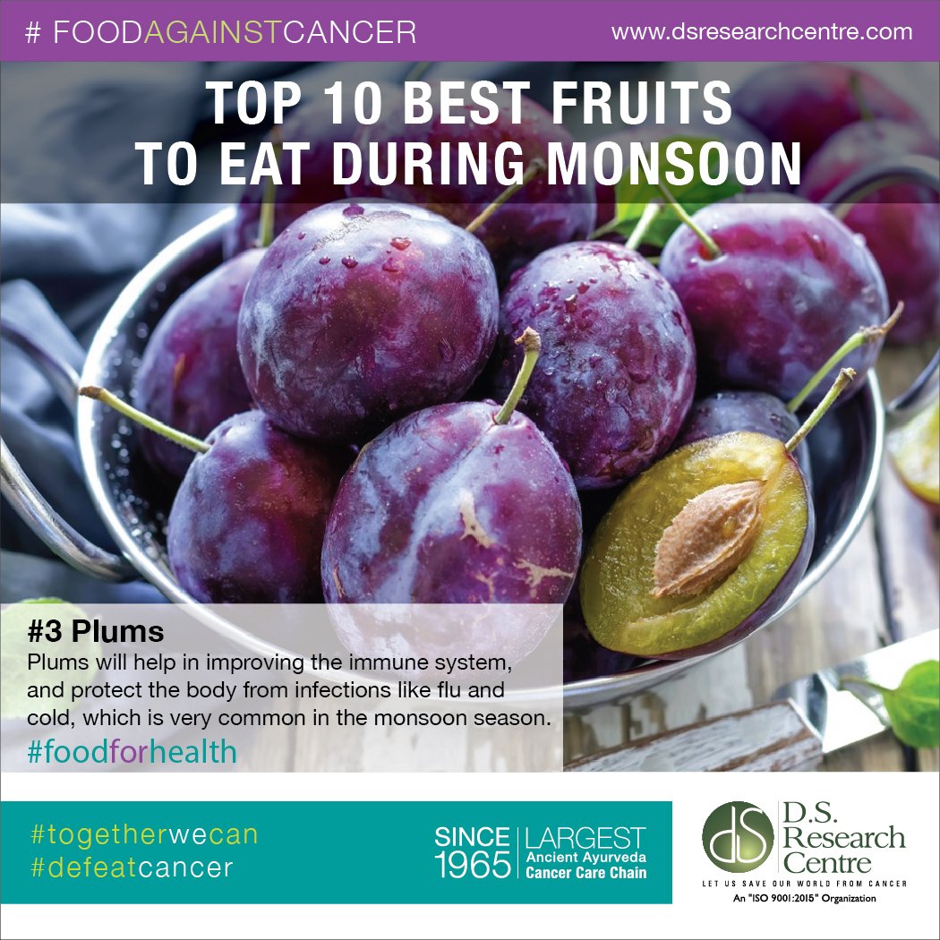 Cancer_Curative's tweet photo. #Plums #monsoon #fruits #foodforhealth #Cancer #CancerResearch  #foodagainstcancer #togetherwecan #defeatcancer https://t.co/u7cjyne4MH