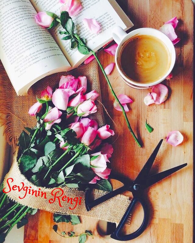 Her sabah uyandığımızda Hatırlamamız gereken şey,
Mutluluğun başka yerde değil, Sadece kendi yüreğimizde olduğudur.

Günaydın...