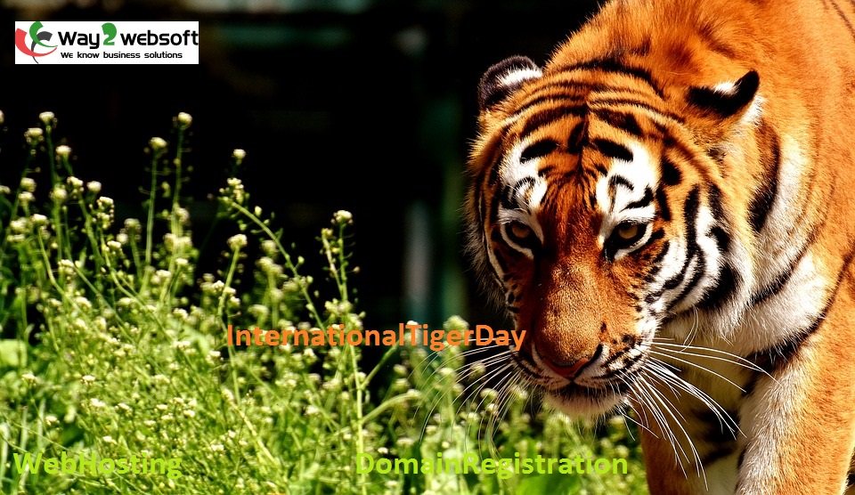 way2websoft's tweet photo. An #oppressive government is more to be feared than a #tiger. - #Confucius
#InternationalTigerDay #2017 #way2websoft https://t.co/g2HpO2TQpP