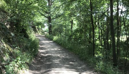 Der geweitete Blick explizitnet.wordpress.com/2017/07/29/der…