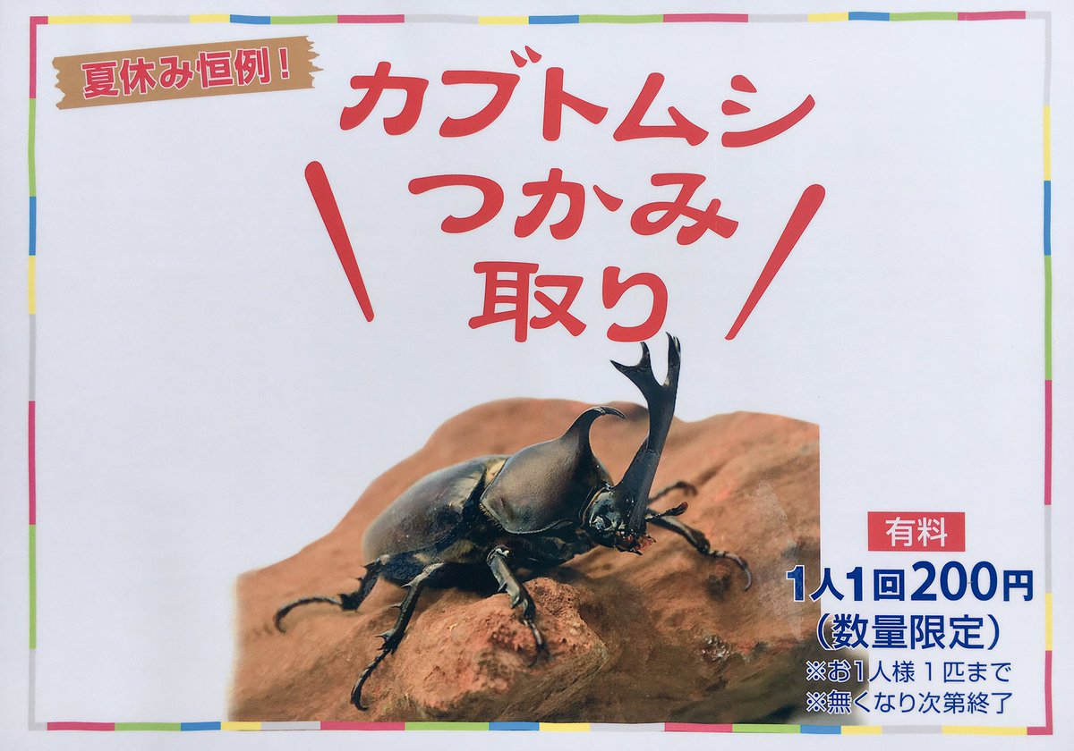 横浜f マリノス 公式 على تويتر 夏休み恒例 カブトムシの森が今節登場 活きのいい天然カブトムシとクワガタのつかみ取りは 場内コンコースe11付近で開催します Fmarinos カブトムシ クワガタ 絵文字はてんとう虫