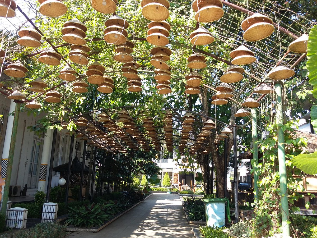 Di Purwakartamah loba cetok dan cetok itu sifatnya meneduhi sama halnya dgn toleransi yg meneduhi semua kalangan #MulyakanToleransi 😇😇😇