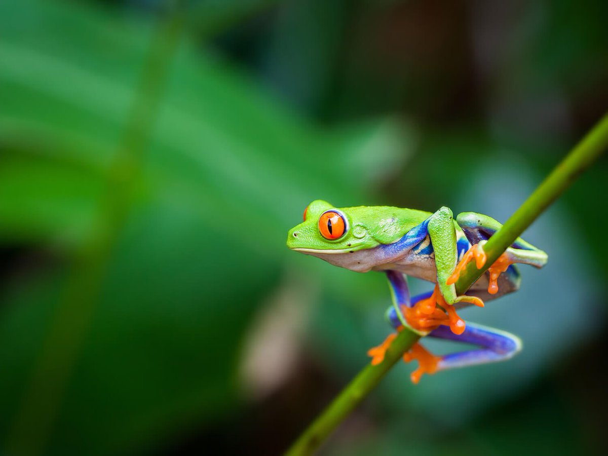 SmartripsNet tweet picture