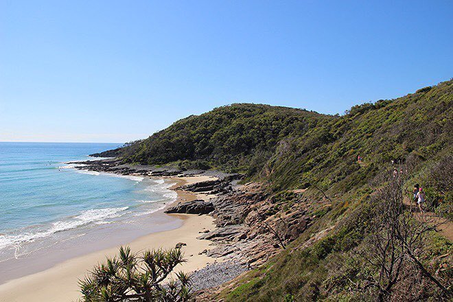 blogplanete3w's tweet photo. Magnifique petite balade 🚶 dans le parc national de #Noosa. Une station balnéaire australienne tendance !  #australie #australia #discovera… https://t.co/b90wB1HMRW