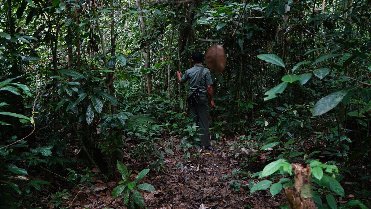 UNDP Indonesia tweet media