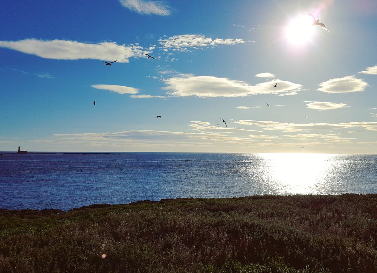 NTFarneIslands's tweet photo. @ShielGeorge @Nikster66 @_Breakwater @SeahousesGolf @LoveSeahouses @BandTGP @TheGablesDuddo @BamCastleInn @LancasterJane13 Morning George, beautiful morning looking towards Longstone! S 🌅 https://t.co/SaWPw4zfHE