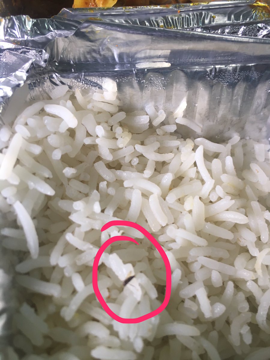 dhirendraCG's tweet photo. @sureshpprabhu @IndianRailMedia @RailMinIndia #ShatabdiExp NDL to BPL PNR No-2234701792 #InsectInFood राइस में कीड़ा https://t.co/nqQUtg1usk
