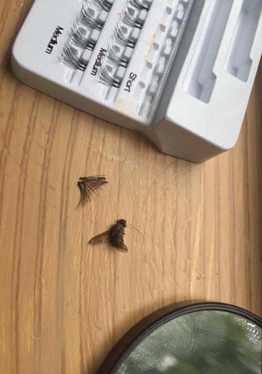 View image on Twitter View image on Twitter