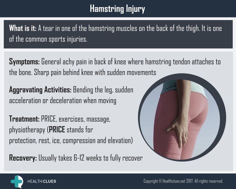 healthclues's tweet photo. #Hamstring #muscle #muscleinjury #musclespasms #musclepull #swelling #pain #sports #injury #health #fitness #exercise #PT #strength https://t.co/ire8cEf0vF