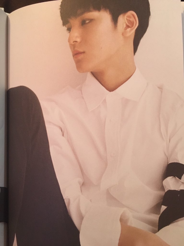 low quality mingyu (@lowqualitykmg) on Twitter photo 