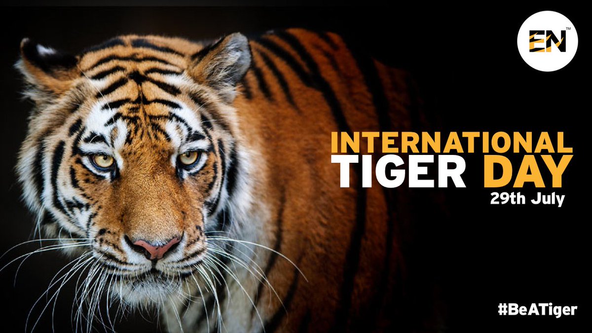ENTiger_Digital's tweet photo. This #InternationalTigerDay, #BeATiger in Banking with #EnterpriseTiger. #TransformYourBank and be #digital with us. #Bank. #FIs https://t.co/C0ZQU9SONw