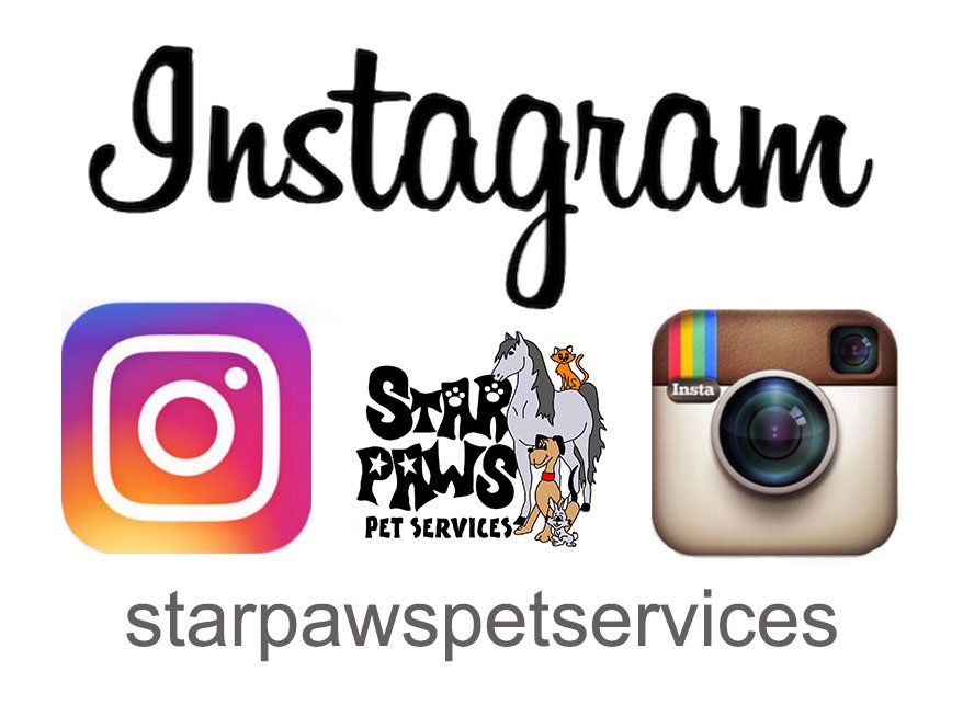 Star Paws (@Star_Paws) / Posts / X