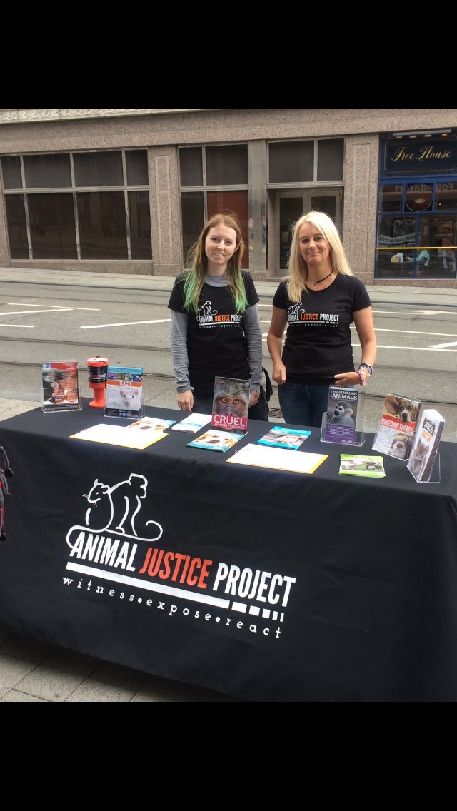 ajpReact's tweet photo. Our stall outside BHF today #boycottBHF #BoycottAnimalTesting https://t.co/QEHVfWTMhF
