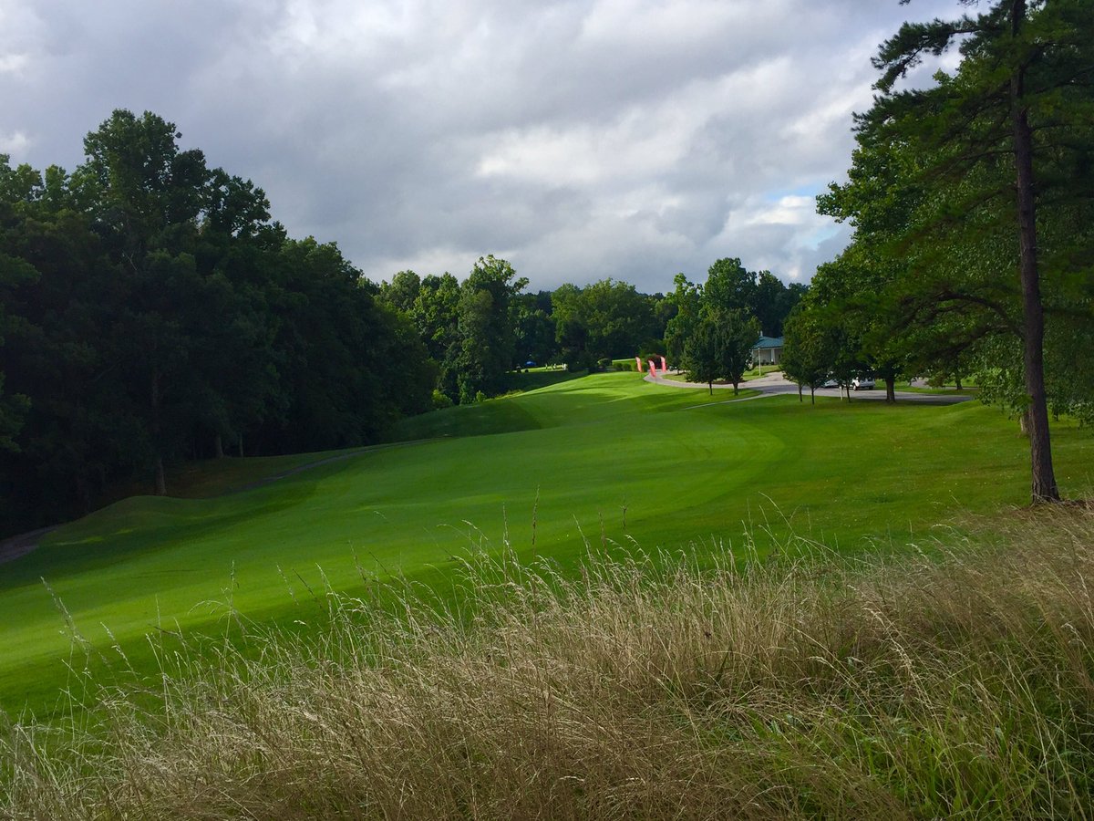 WV Golf Association tweet media