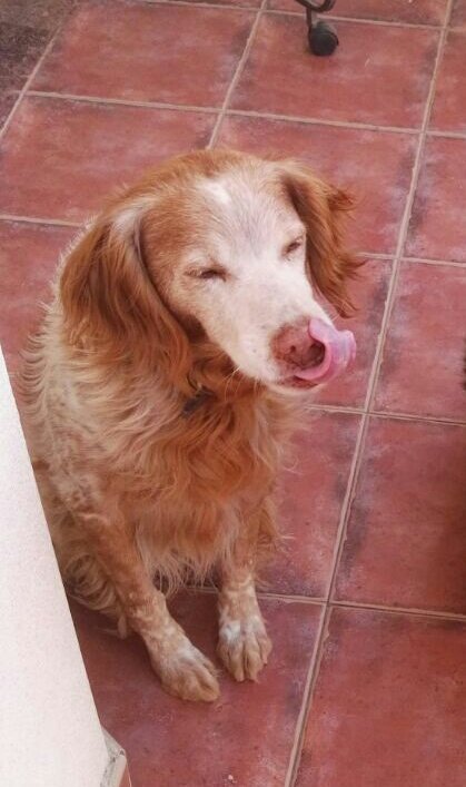 skyriam's tweet photo. Os amo https://t.co/4Bp8nvcj3e