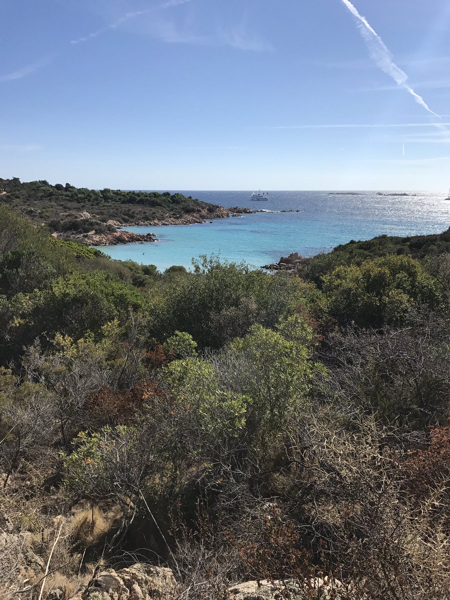 IsabelDevoto's tweet photo. #sullastrada verso la spiaggia del Principe https://t.co/MoByl2p45H
