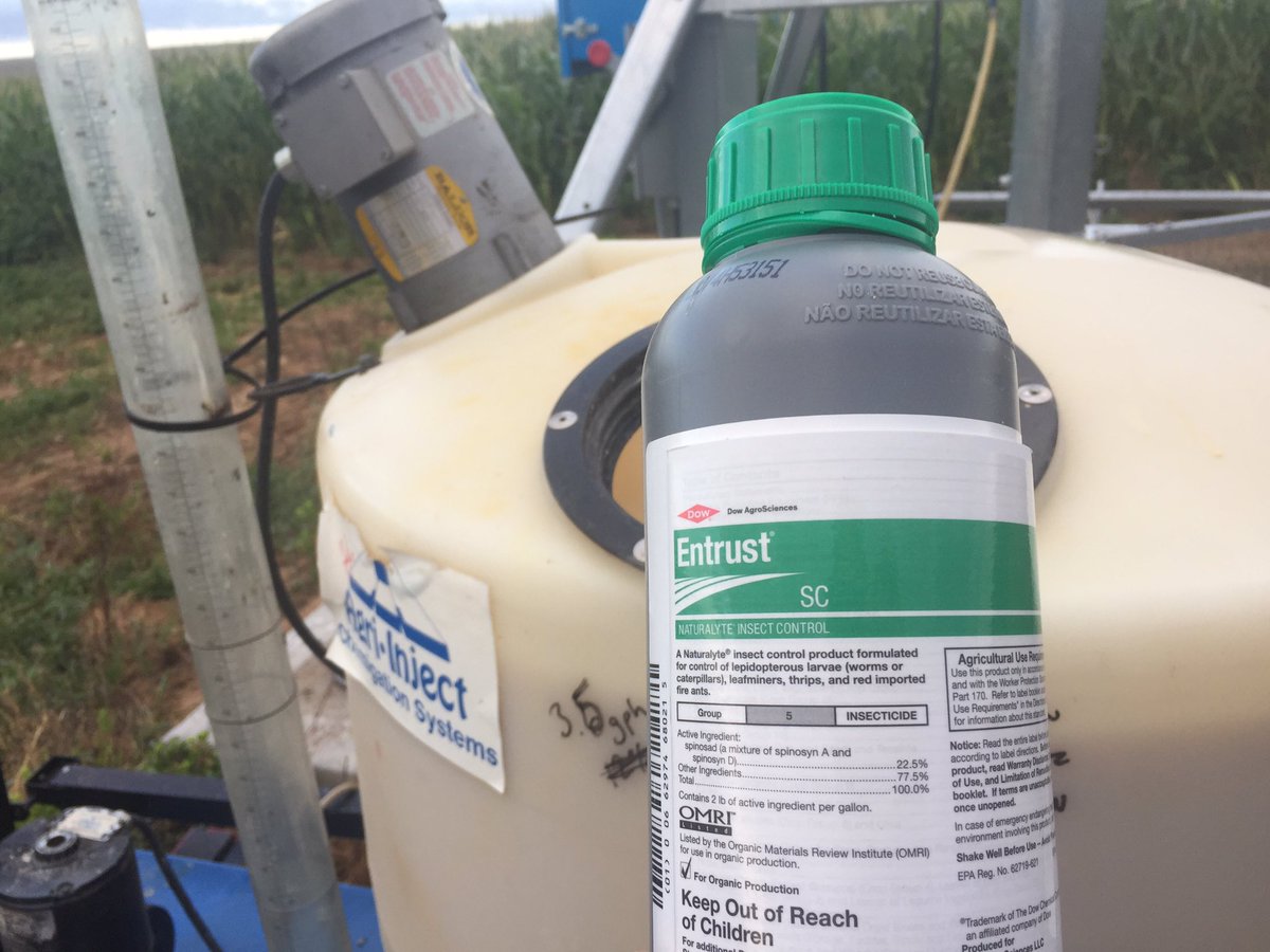 lathemfarms's tweet photo. Operation 🐛 killer has begun. New style bottles of Entrust are a big improvement. @DowAgroUS #chemigate https://t.co/hKO4xOFYDK