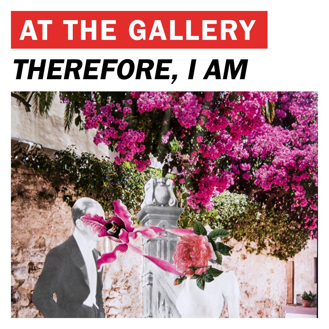 MyTOFD's tweet photo. #ThisWeekInMyTOFD
'Therefore, I am' exhibit arrived in the #FCPGallery
#SudForno is the newest lunch spot.
@DanielCaesar rocked #FCP! https://t.co/3LJIZrAmpI