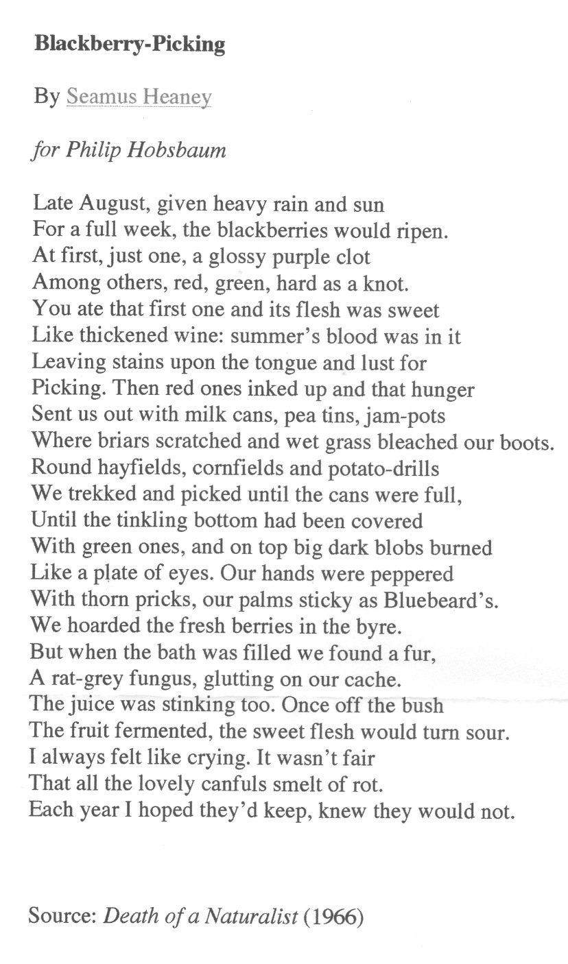 blackberry-picking poem essay