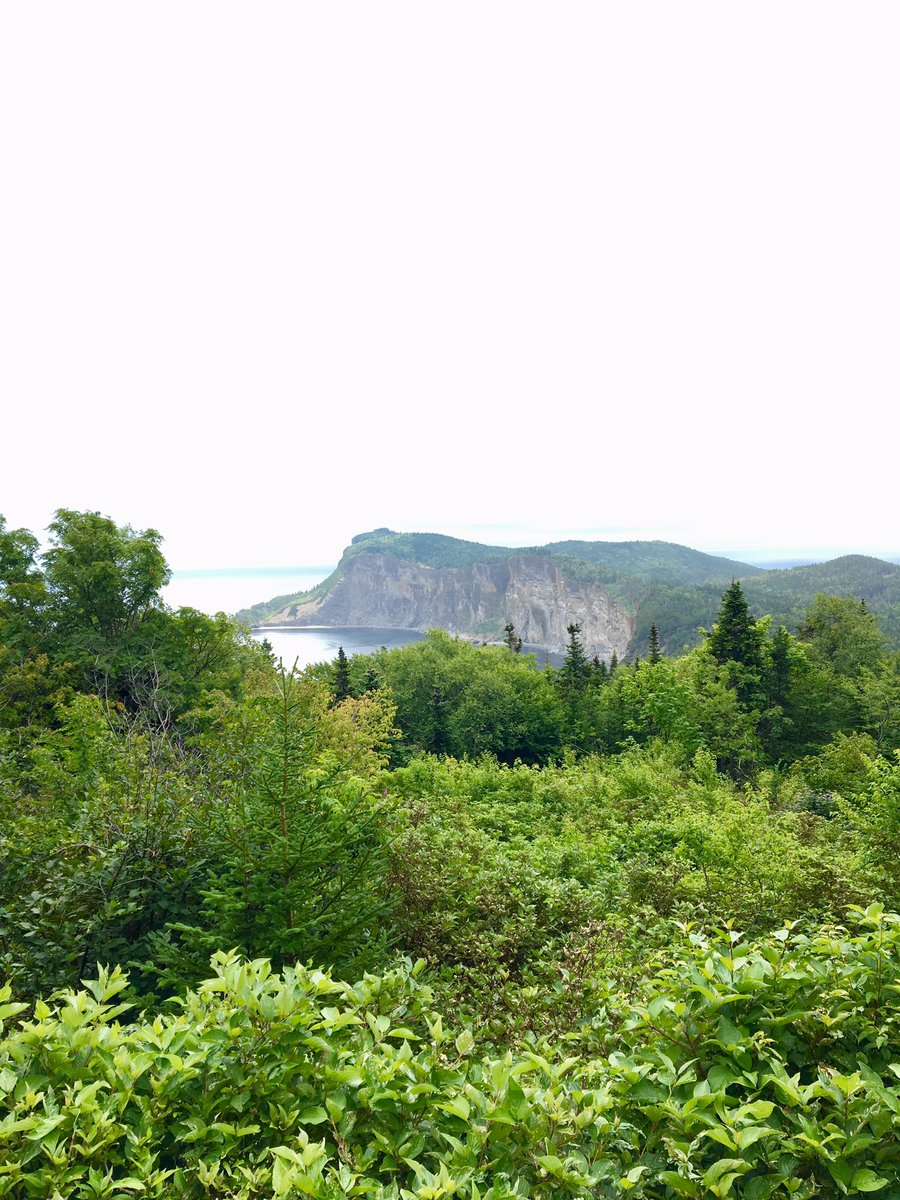 Harout_MTL's tweet photo. Merci @ParcsCanada pour le majestueux #ParcForillon #Gaspésie @cathmckenna et @canada150th pour l'accès à tous pendant l'année @melaniejoly https://t.co/TWxCH94XsQ