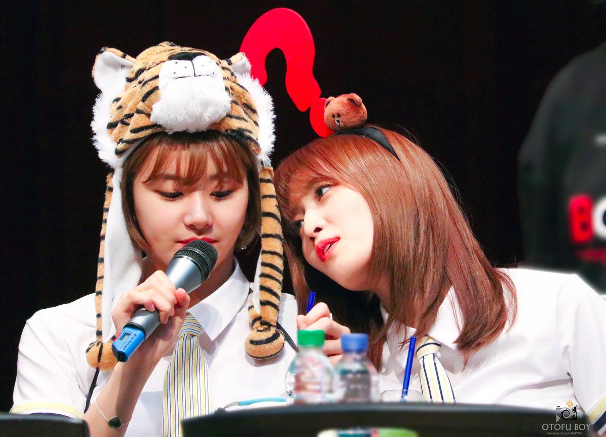 OTOFU_BOY's tweet photo. 虎王チェヨンはメス達にモテるらしい🐯【Tiger king is popular with girls🐯】
170604 #트와이스 #채영 #CHAEYOUNG #TWICE #チェヨン #사�� #SANA #サナ #모모 #MOMO #TWICE #モモ https://t.co/Ya5sN1XvW5