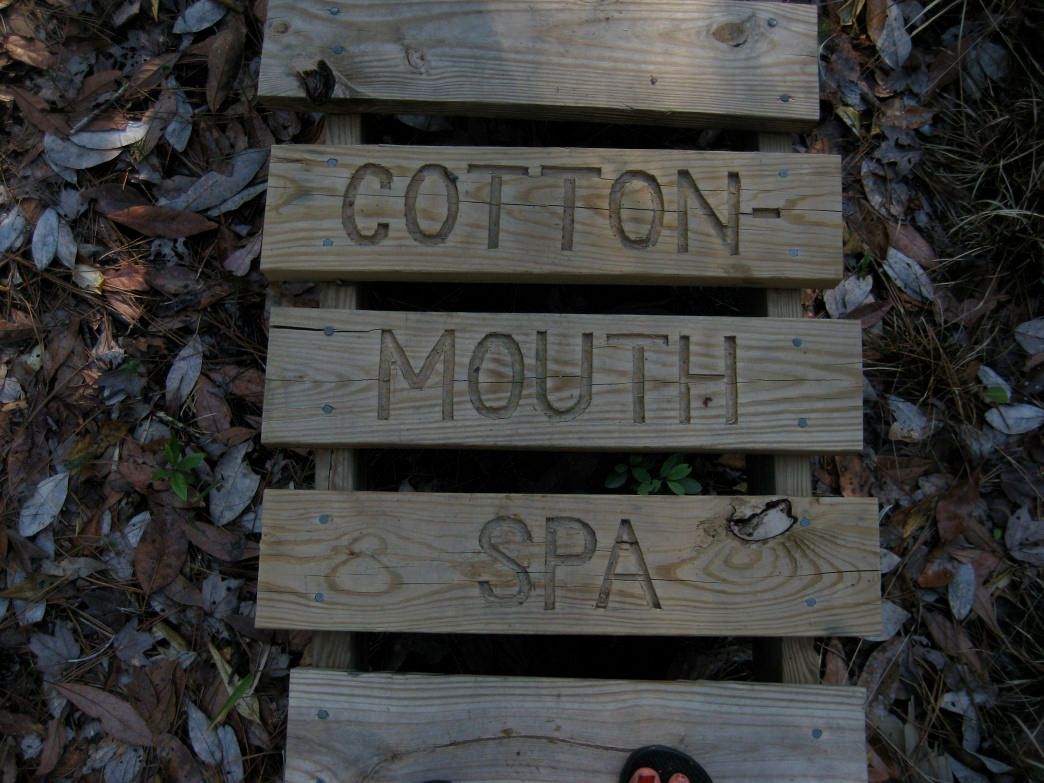 dbo_asheville's tweet photo. Looking for a weekend hike? Try to @NCMST! https://t.co/j65Lau7KaZ #AdventureIsLocal https://t.co/VkOQIbu0mJ