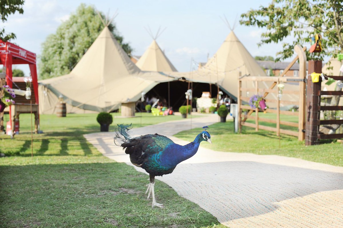 ON THE BLOG ✨Let us introduce you to this gem of a venue <a href="/SkipbridgeCW/">Skipbridge Country Weddings</a>! 📷 by Jade Doherty Photography 👉 ow.ly/AT7R30dXDqJ