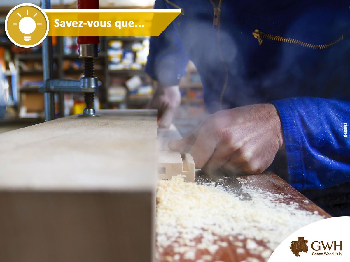 GabonWoodHub's tweet photo. Les acteurs du Cluster bénéficient d'un accompagnement marketing afin de promouvoir leur produits à l'international.
#Cluster #SaviezVous? https://t.co/Wl0hhUHcA6