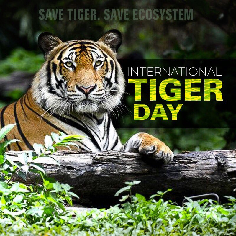 DantewadaDist's tweet photo. It’s never too late to start an initiative of kindness. Appreciate the nature and save tiger. #InternationalTigerDay #HopeNaturally https://t.co/A4AIEOMi3y