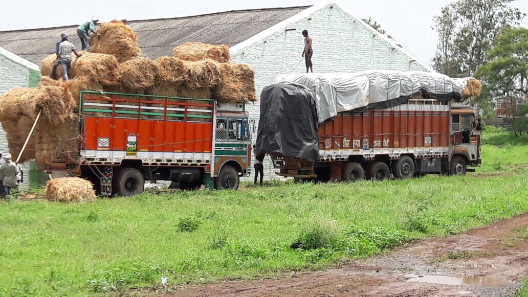 pkumarias's tweet photo. Despatch of grass from Dahod district to Flood affected areas of BK for distribution to Cattles #GujaratFloods https://t.co/GYDVkQLozU