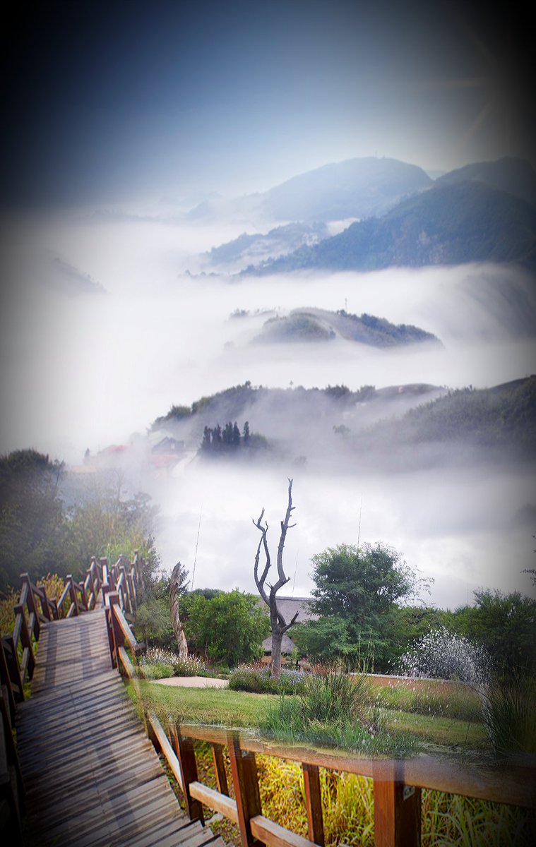 Portia Van Der Byl (@bylportia) on Twitter photo 