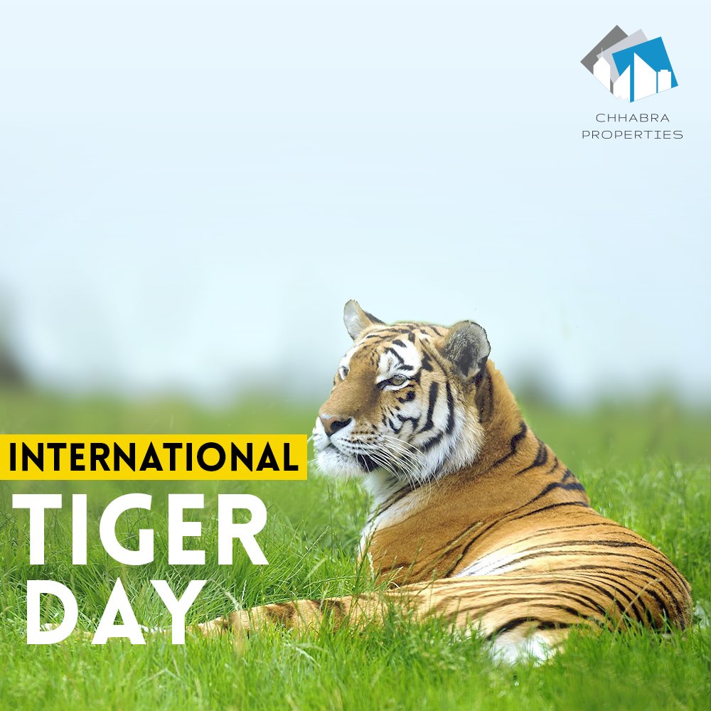 ChhabraPropert2's tweet photo. Don't strip the stripes from the scenery. Save the tiger
#internationalTigerDay #tiger #saveTiger https://t.co/TnlJmTKPMn