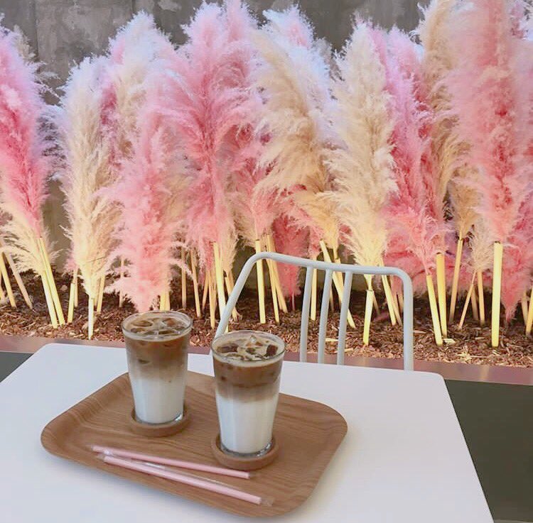 PaiKaoli's tweet photo. Share D Table คาเฟ่น่ารักๆ มีดอกหญ้าสีฟุ้งฟริ้ง เหมาะแก่การไปถ่ายรูปมาก เครื่องดื่มราคาไม่แพง พิกัดด้า���ล่างจ้า👇🏻 #รีวิวเกาหลี #คาเฟ่เกาหลี https://t.co/ARAHUOudjG