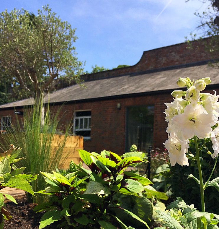 The Medicine Garden tweet media