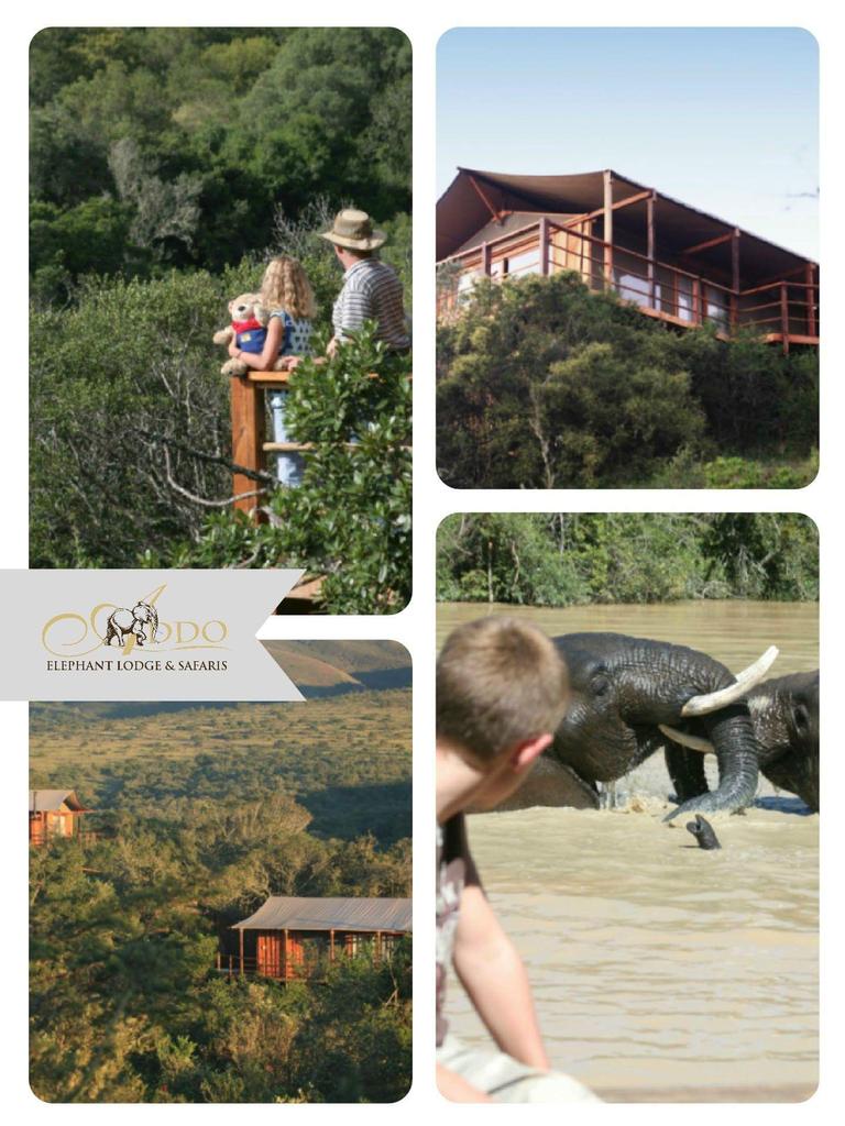 aebs_lodge's tweet photo. #Winterspecial R950pppn Including Accommodation &amp; all meals ✌
#Book 083 283 2359 https://t.co/KozKleKubW