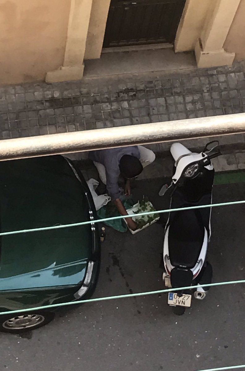 Mostra la imatge al Twitter