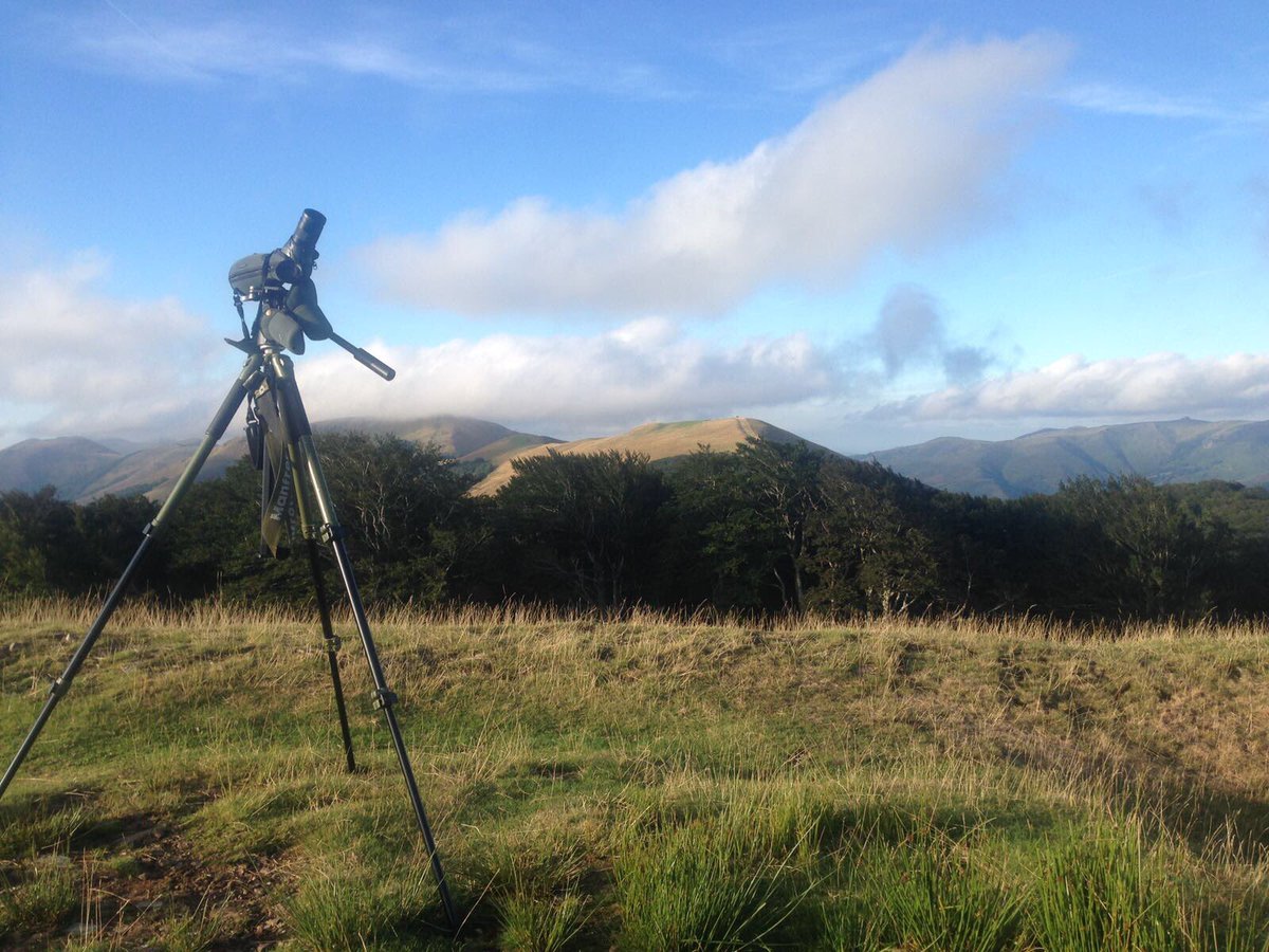 Y hoy..viento Sur Lindus <a href="/auritz_burguete/">𝕽𝔦𝔫𝔠𝔬𝔫𝔢𝔰 𝔡𝔢𝔩 𝔓𝔦𝔯𝔦𝔫𝔢𝔬</a> y acabamos de monitoriZar 315 Milanos negros en 15 minutos👏👏
<a href="/MigrationLpoAqu/">Migration</a> <a href="/_BTO/">BTO</a> <a href="/CornellBirds/">Cornell Lab</a>